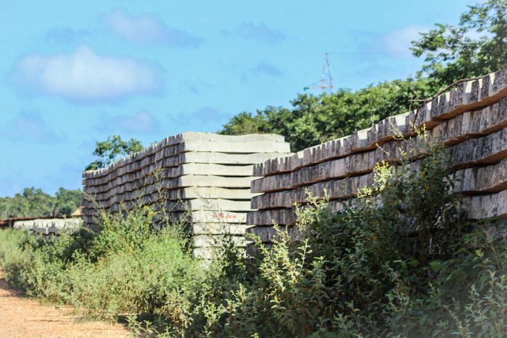 Vila Dosal discute avances del Tren Maya con el Fonatur